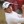 Patrick Cantlay 2010 U.S. Amateur