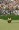 Phil Mickelson