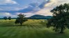 FarmLinks at Pursell Farms