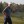 SAUCIER, MS - MARCH 25: Steve Stricker waves to the gallery after winning the Rapiscan Systems Classic at Fallen Oak Golf Course on March 25, 2018 in Saucier, Mississippi. (Photo by Matt Sullivan/Getty Images)