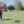 charley-hoffman-the-masters