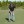 Tiger Woods Putting Drill