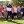 PGA: Ryder Cup