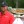 Tiger Woods