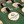 Augusta National Women's Amateur yardage book