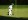 Masters Par 3 Contest