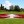 Stanford golf