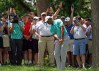 tiger woods