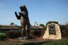 The Bear Trap