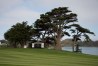 TPC Harding Park