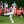 Justin Thomas 2019 Tour Championship