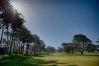 TPC Harding Park