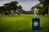 TPC Harding Park