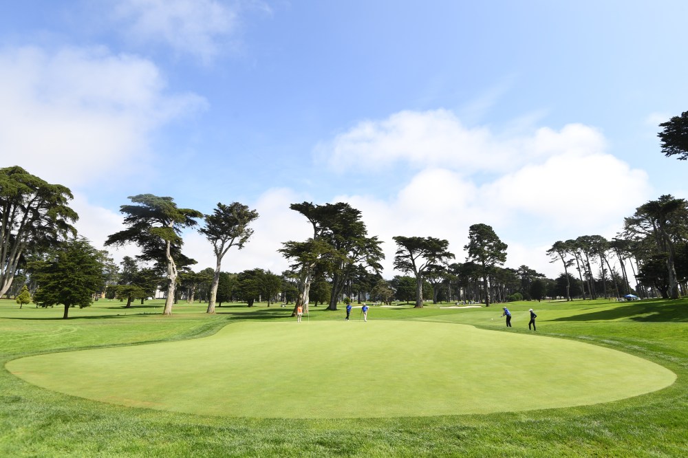 TPC Harding Park