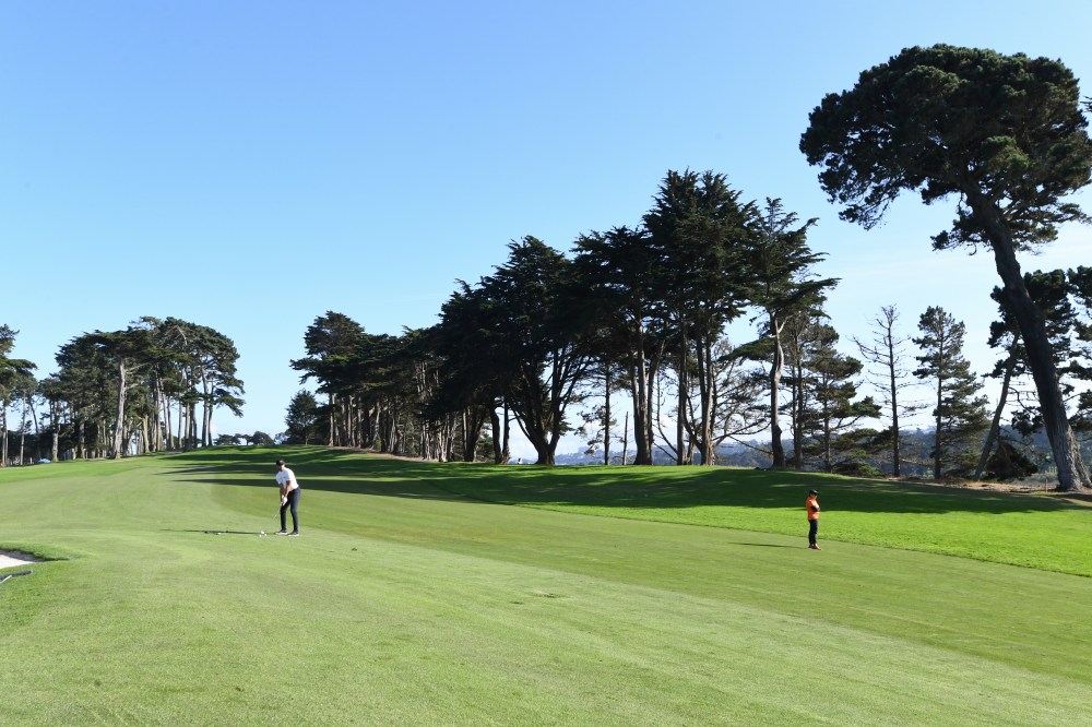 TPC Harding Park