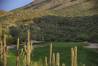 Troon Country Club Scottsdale
