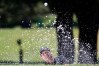 Patrick Reed Charles Schwab Challenge - Final Round