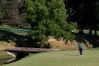 Tiger Woods