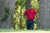 BMW Championship