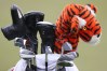 PGA Championship