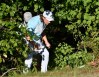 The Northern Trust