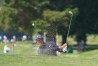 PGA Championship