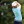 Alex Noren 2020 U.S. Open