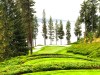 Coeur D'Alene Resort's No. 6