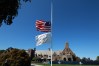 Winged Foot Half Mast