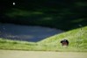 CJ Cup at Shadow Creek