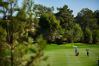 CJ Cup at Shadow Creek
