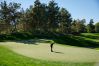 CJ Cup at Shadow Creek
