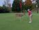 Michigan golf deer
