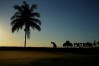 Mayakoba Golf Classic