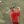Masters Tournament 2020