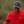 Masters Tournament 2020