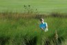 RSM Classic 2020