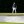 Jordan Spieth Masters Practice