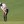 Tommy Fleetwood 2020 Masters