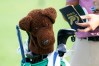 The Masters 2020