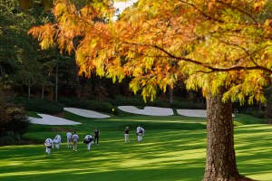The Masters