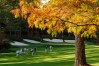 The Masters