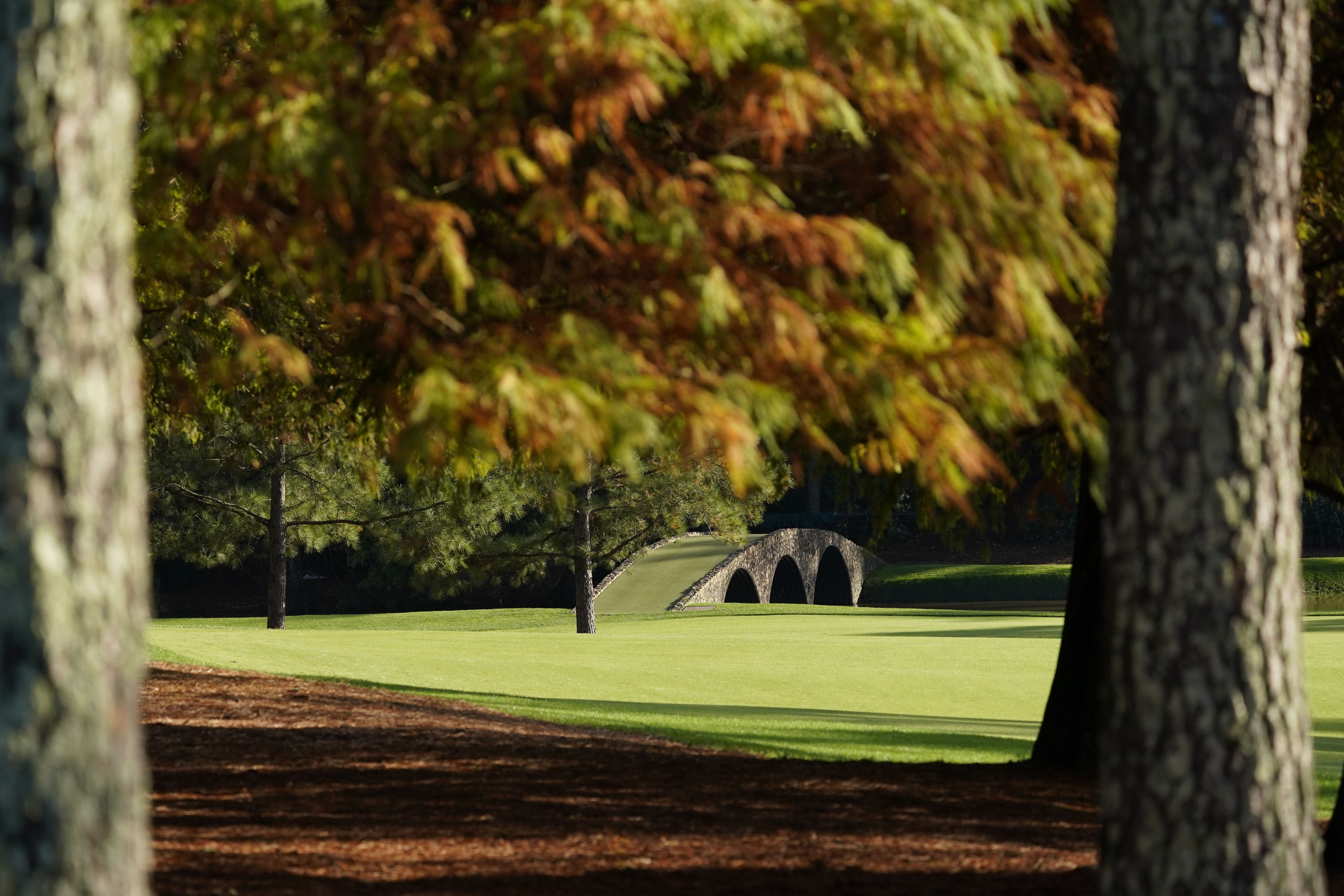 Masters Tournament 2020