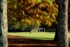 Masters Tournament 2020