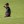 Masters Tournament 2020