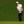 Masters Tournament 2020