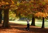 Masters Tournament 2020