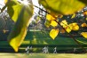 Masters Tournament 2020