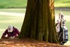 Masters Tournament 2020