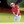 Masters Tournament 2020